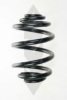 SPIDAN 56921 Coil Spring